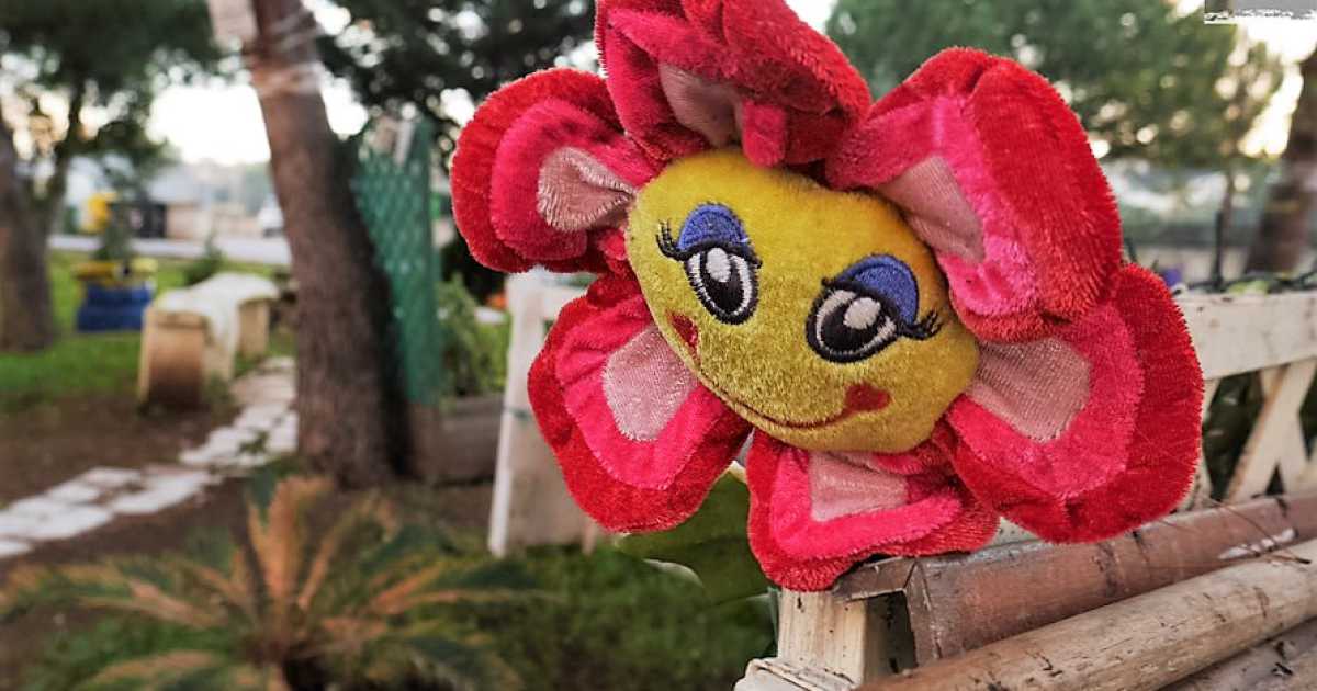 Santo Spirito, coppia trasforma un'anonima aiuola pubblica in un vivo giardinetto